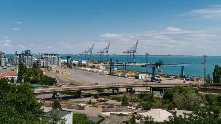 Американська Agrico Sales допоможе розвивати портову інфраструктуру Одещини
