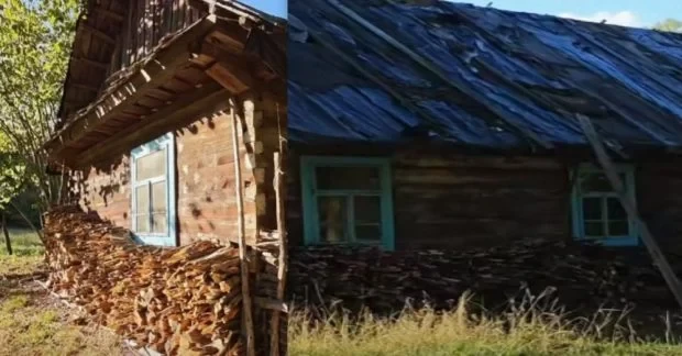 Всі виїхали, а вона залишилася: жінка 20 років жила сама серед лісу